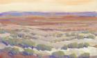 High Desert Pastels II