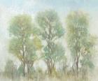 Muted Trees I