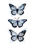 Blue Butterfly Trio I