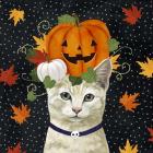 Halloween Cat I