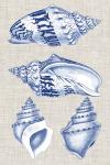 Navy & Linen Shells II