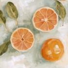 Fresh Citrus III