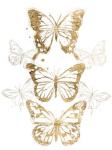 Gold Butterfly Contours I