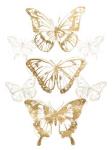 Gold Butterfly Contours II