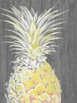 Vibrant Pineapple Splendor I