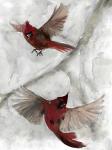 Cardinals I