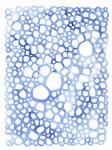 Indigo Plexus II