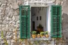 Window View - Kotor, Montenegro