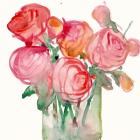 Cottage Roses I