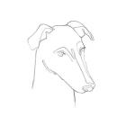 Greyhound Pencil Portrait II