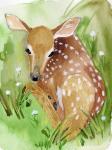 Baby Spring Animals I