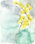 Forsythia Dreams II