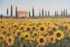 Tuscan Memories I