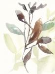 Rusty Sienna Leaves I