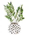Plant in a Pot III