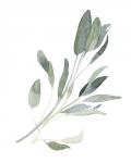 Simple Sage I