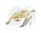 Watercolor Sea Turtle Study I