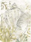 Verdant Shell Fresco I
