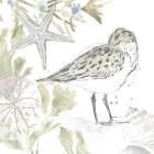 Seaside Sandpipers I