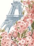 Paris Cherry Blossoms II