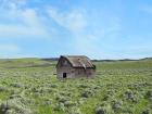 Barn Scene III