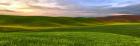 Farmscape Panorama VI