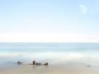 Beachscape Photo V