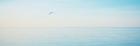 Beachscape Panorama XII