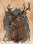 Red Deer Stag II