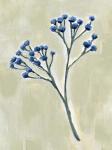 Neutral Stem II