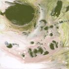 Lime Shimmer I