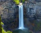 Waterfall Portrait I