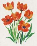Red Tulips in Bloom II