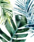 Tropical Leaf Medley I