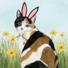 Easter Cats I