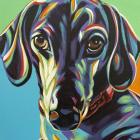 Painted Dachshund I