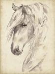 Horse Portrait Sketch II