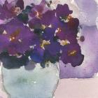 African Violet II