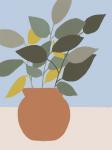 Ordinary Houseplant II