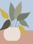 Ordinary Houseplant III