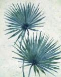 Palm Leaves I