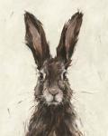 European Hare I