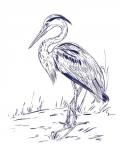 Indigo Heron I