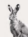 Wild Hare I