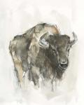 American Buffalo I