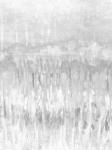 White Coast I