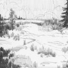 Wildland Sketch I
