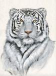 White Tiger I