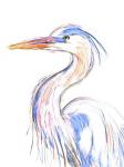 Heron's Glance II