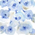 Blue Roses II
